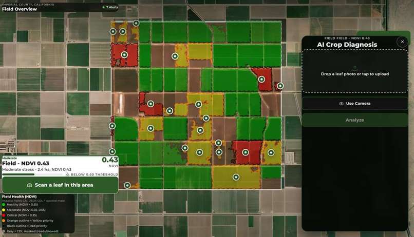 Lumifer – screenshot 4