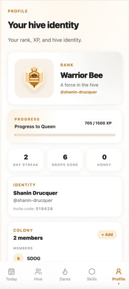 HiveGo – screenshot 5