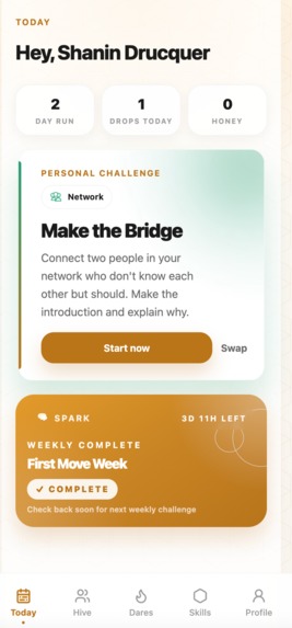 HiveGo – screenshot 1