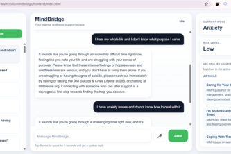 Mindbridge