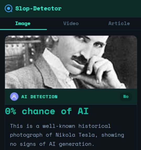 slop-detector – screenshot 2