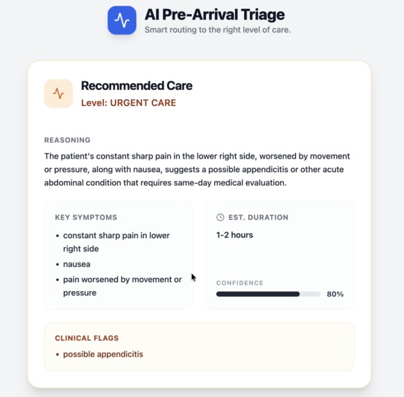 Triage AI – screenshot 2