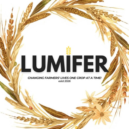 Lumifer – screenshot 1