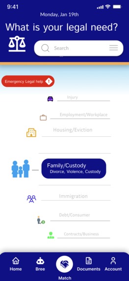 LegalBridge – screenshot 2