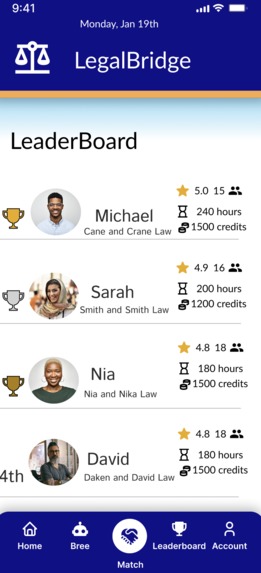 LegalBridge – screenshot 8