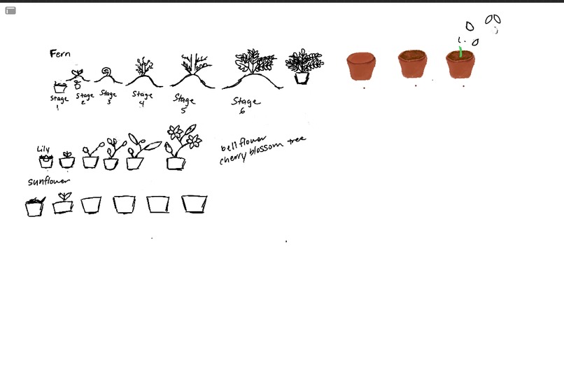 Focus Bloom – screenshot 1