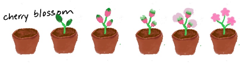 Focus Bloom – screenshot 4
