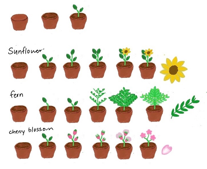 Focus Bloom – screenshot 6