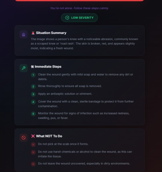 Lifeline-AI-Assistant – screenshot 11