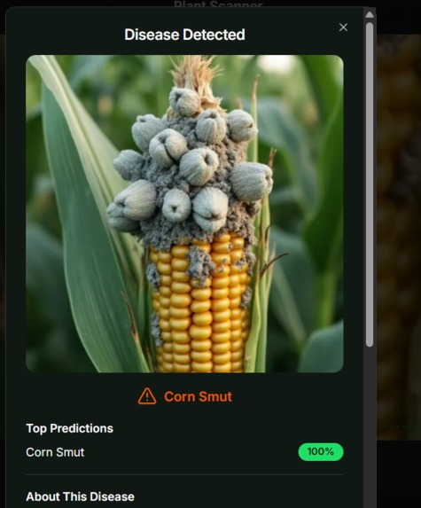 Leaf Labs – screenshot 12