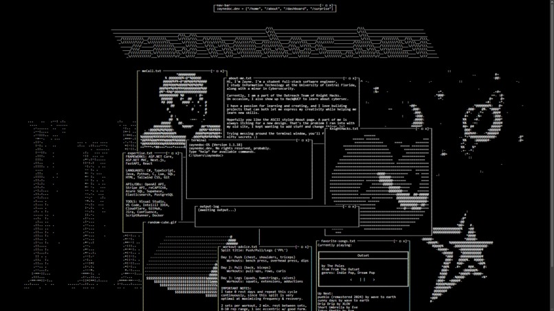 zaynedoc.dev – screenshot 3