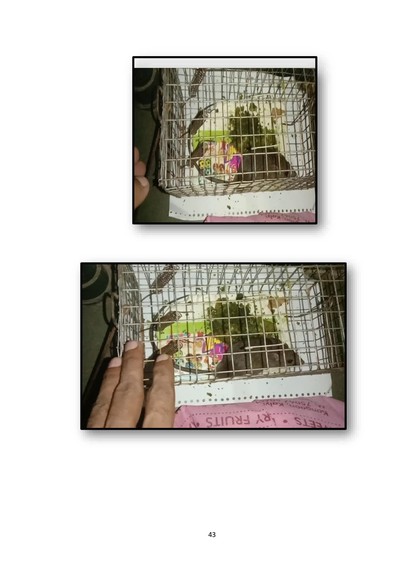 Jitendra Kumar Prasad. Sci – screenshot 6