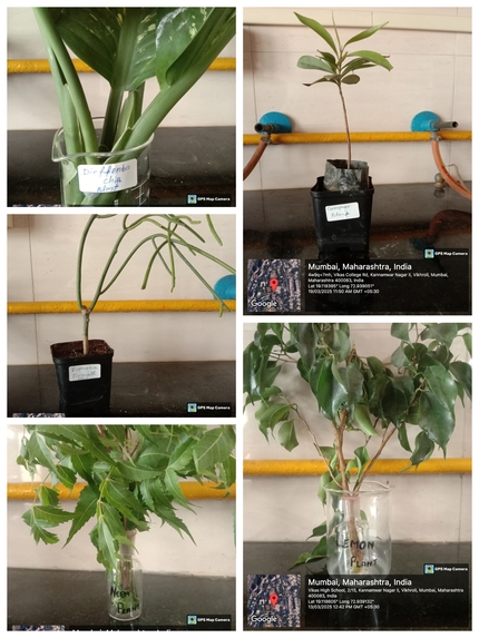 Jitendra Kumar Prasad. Sci – screenshot 32