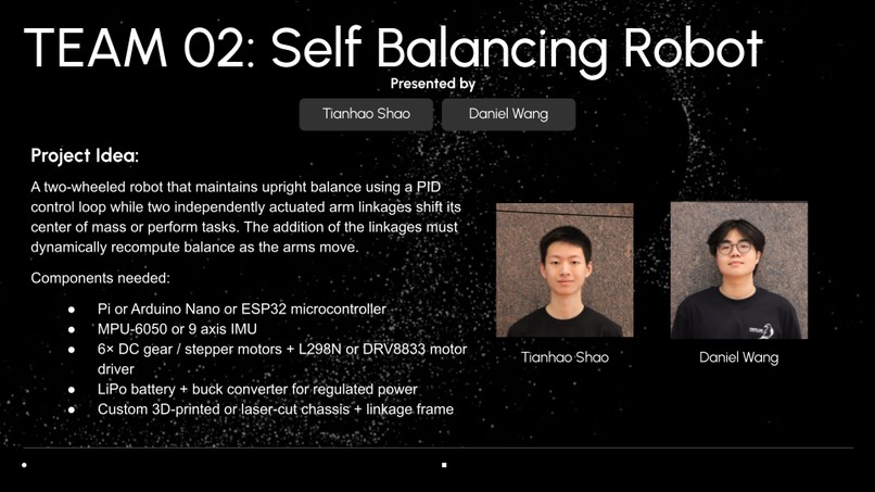 Self Balancing Robot – screenshot 1