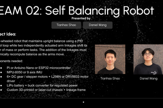 Self Balancing Robot