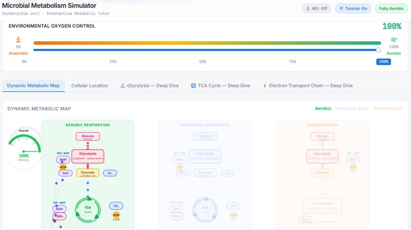 MetaboSim - the fun and intuitive way to learn metabolism! – screenshot 1
