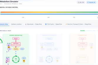 MetaboSim - the fun and intuitive way to learn metabolism!