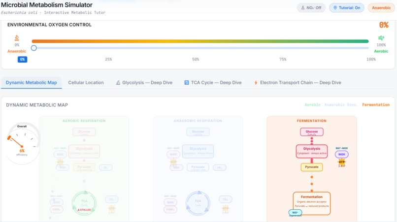 MetaboSim - the fun and intuitive way to learn metabolism! – screenshot 2
