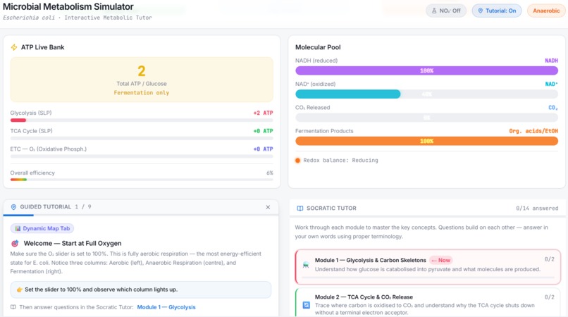 MetaboSim - the fun and intuitive way to learn metabolism! – screenshot 3