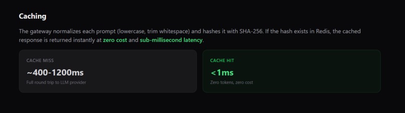 LLMShield — Cloudflare for AI APIs – screenshot 5