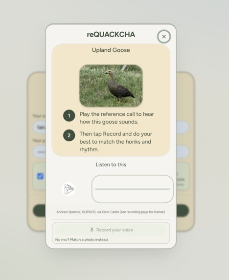 reQUACKCHA – screenshot 1