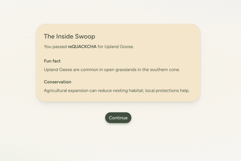 reQUACKCHA – screenshot 4