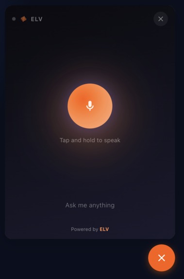 ELV — Voice-First Website Support – screenshot 1