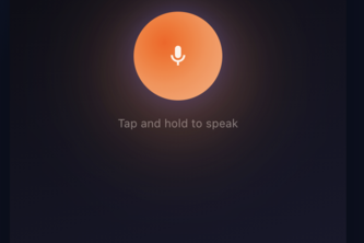 ELV — Voice-First Website Support
