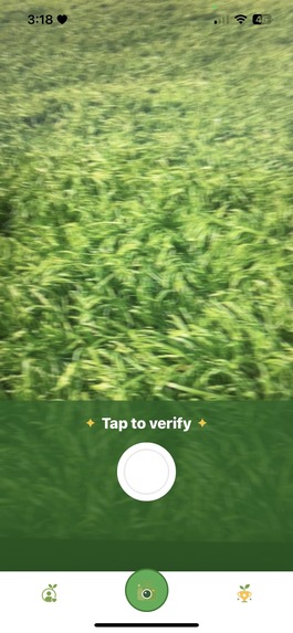 PureLeaf  – screenshot 5