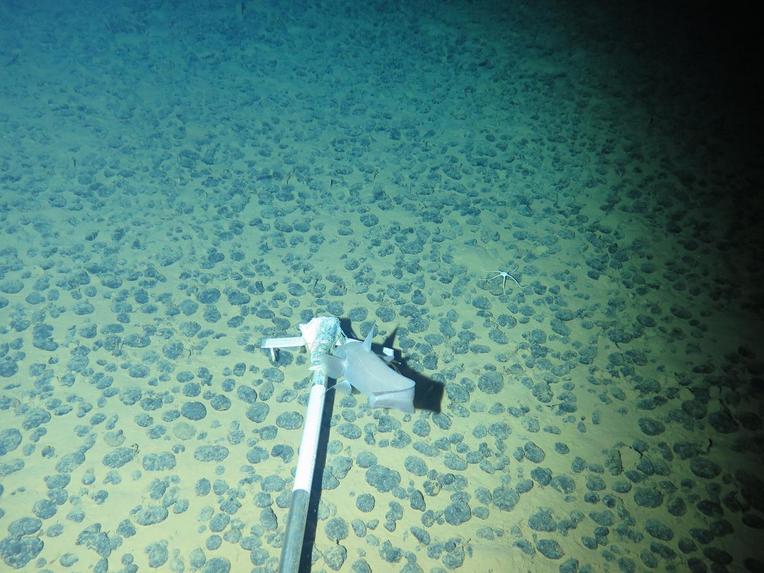 ORCA-Ocean Resource Collection & Automation – screenshot 1