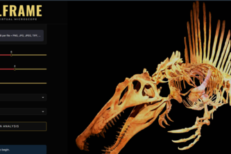 FossilFrame