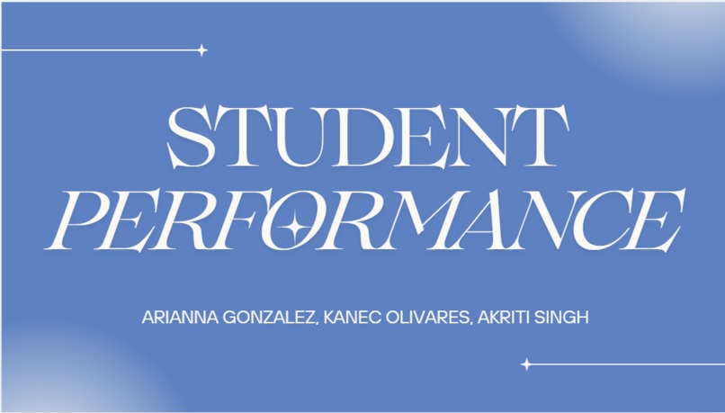 Student Performance – screenshot 1
