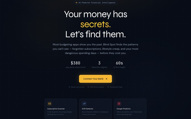 Blind Spot Finance – screenshot 5