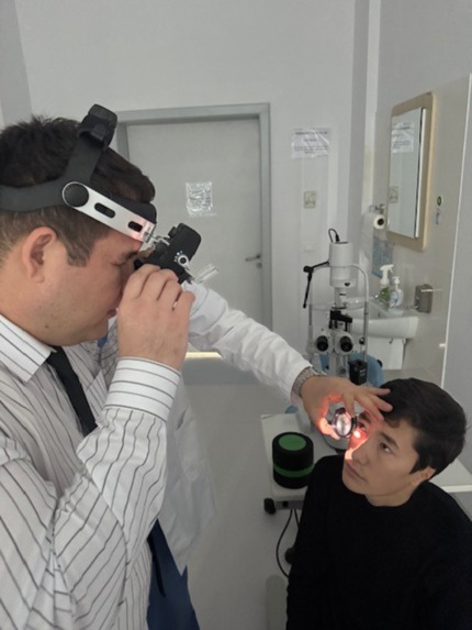 Gemini AI for Early Myopia Screening – screenshot 8