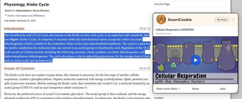 SmartCookie – screenshot 4