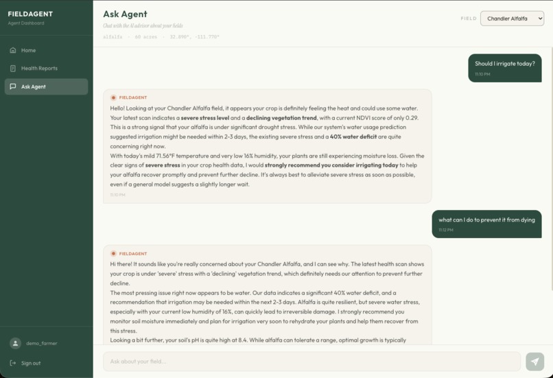 Field Agent – screenshot 3