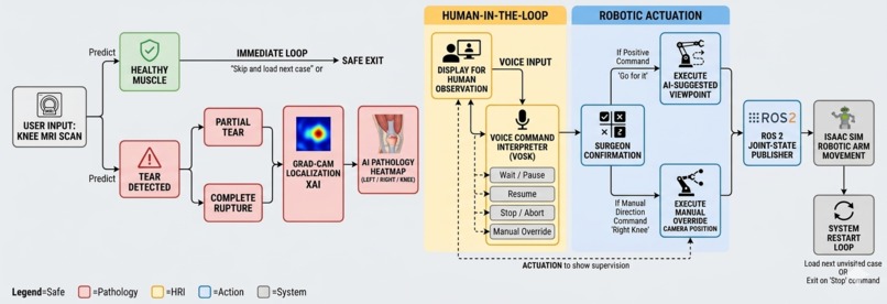 KneeSight: XAI-Driven Diagnostic Robotics – screenshot 1