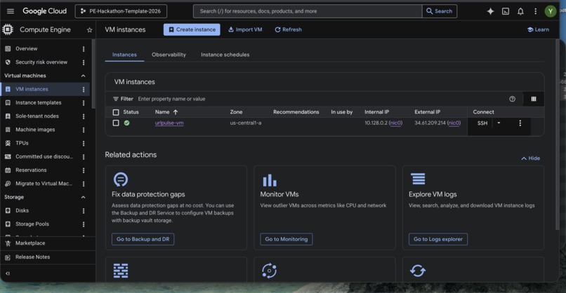 URLPulse – screenshot 9