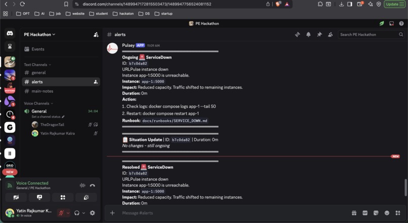 URLPulse – screenshot 8