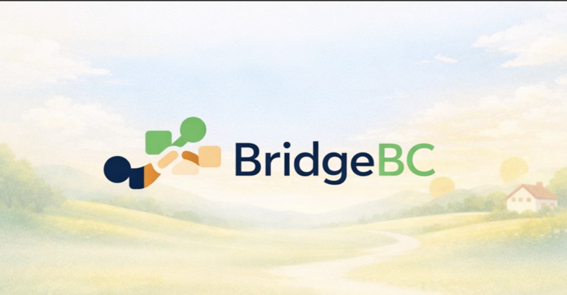 BridgeBC – screenshot 1