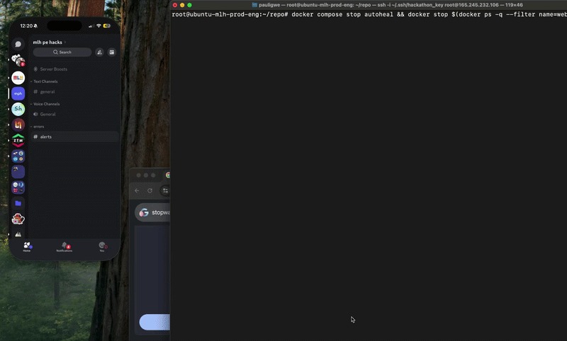 wealways.online – screenshot 3