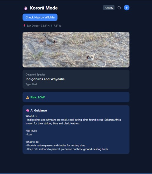 Kororā Mode – screenshot 2