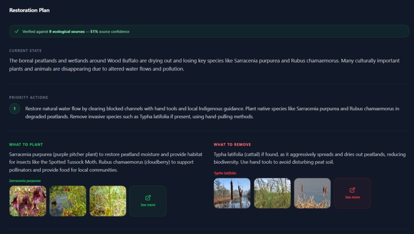 RootNet | Open Source Ecosystem Restoration – screenshot 3