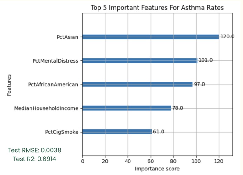 Asthma & Smoking Risk Analysis – screenshot 3