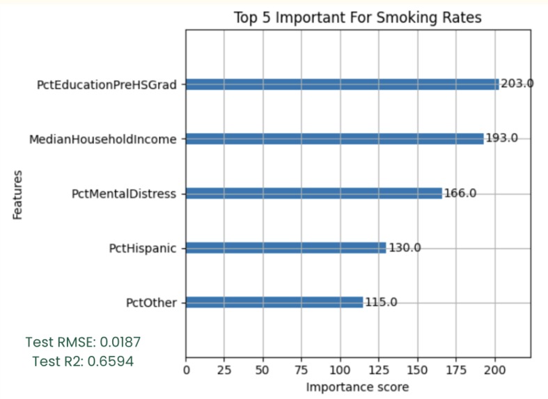 Asthma & Smoking Risk Analysis – screenshot 4