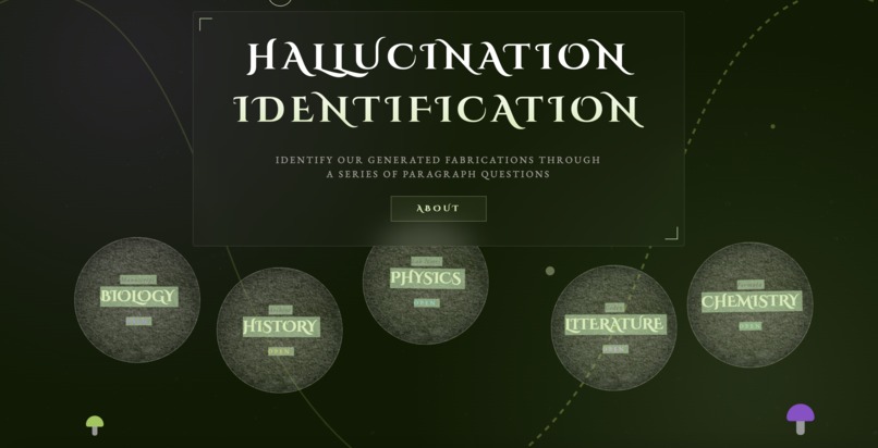 Hallucination Identification – screenshot 2