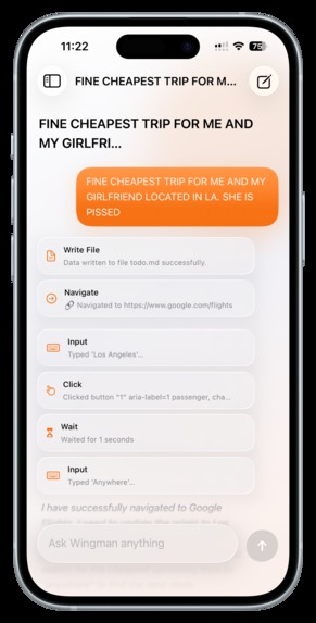 Wingman – screenshot 2