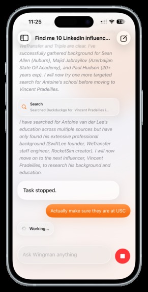 Wingman – screenshot 3