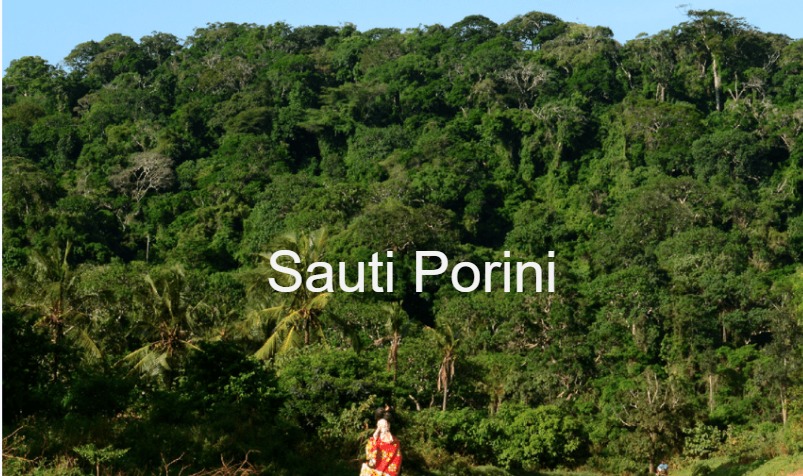 Sauti Porini(Voice of the Wild) – screenshot 1