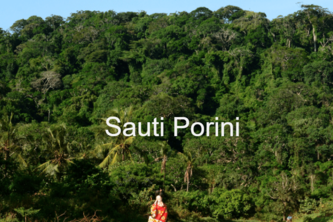 Sauti Porini(Voice of the Wild)
